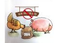 飼料“禁抗”新政出臺(tái)，行業(yè)準(zhǔn)備好了嗎？